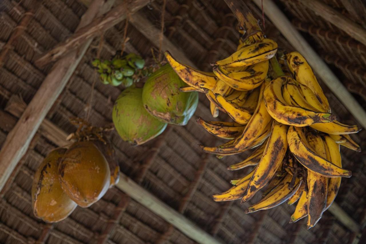 Afriican Village Zanzibar Michamvi Kae Екстер'єр фото