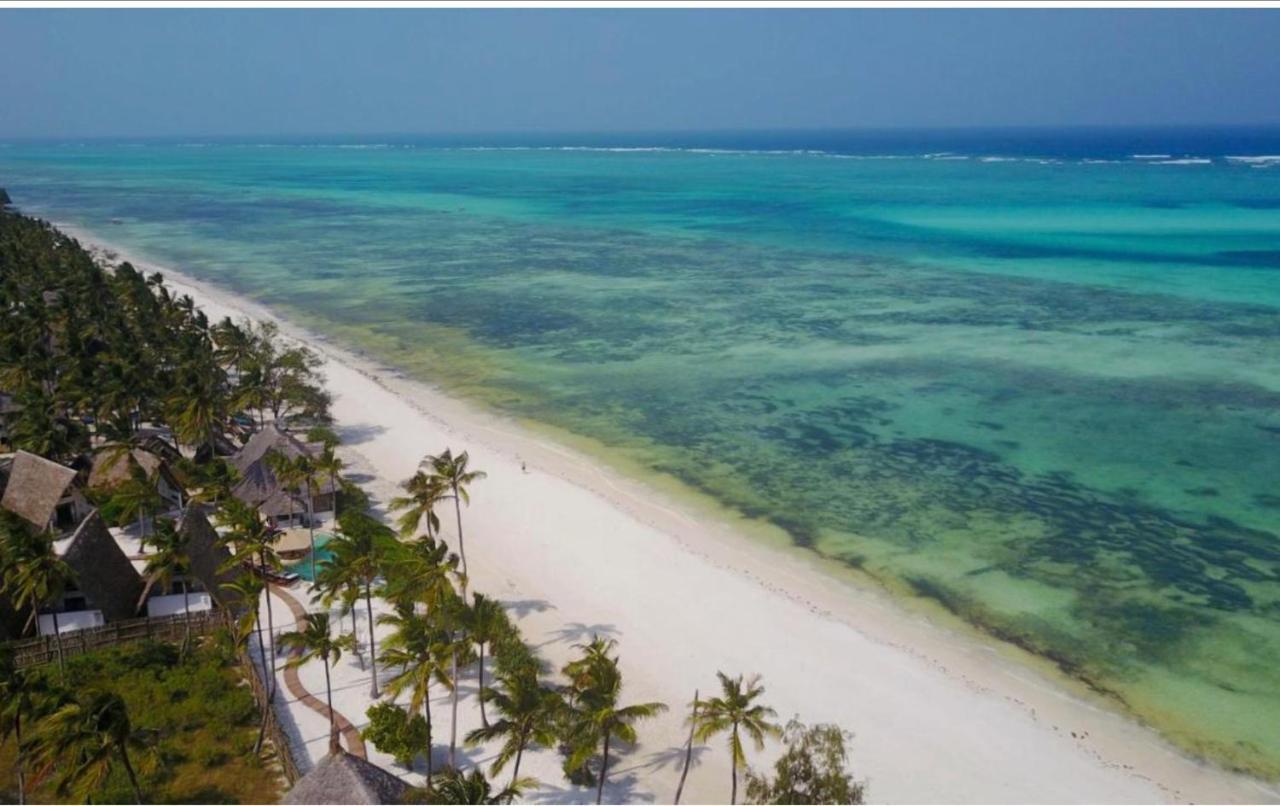Afriican Village Zanzibar Michamvi Kae Екстер'єр фото