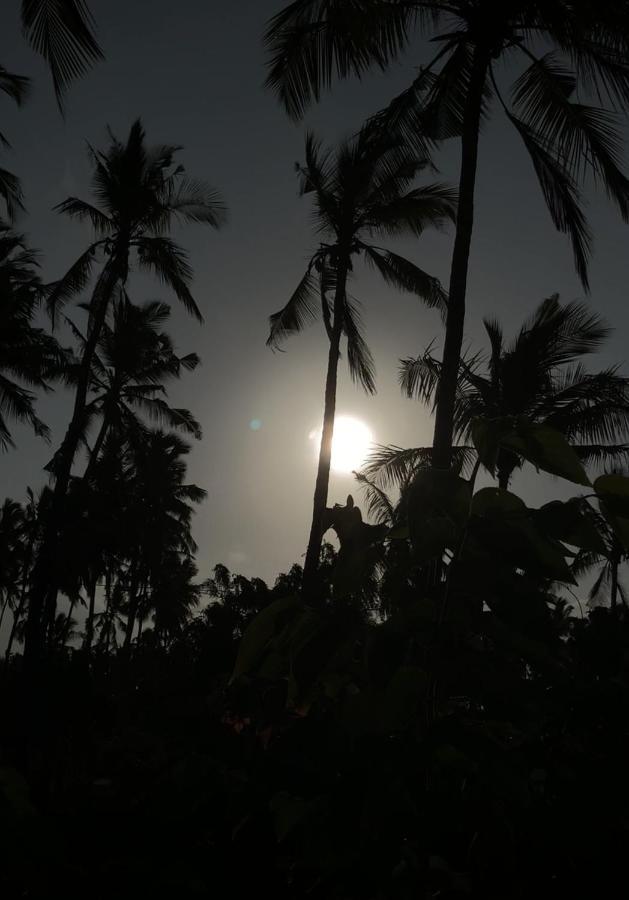 Afriican Village Zanzibar Michamvi Kae Екстер'єр фото